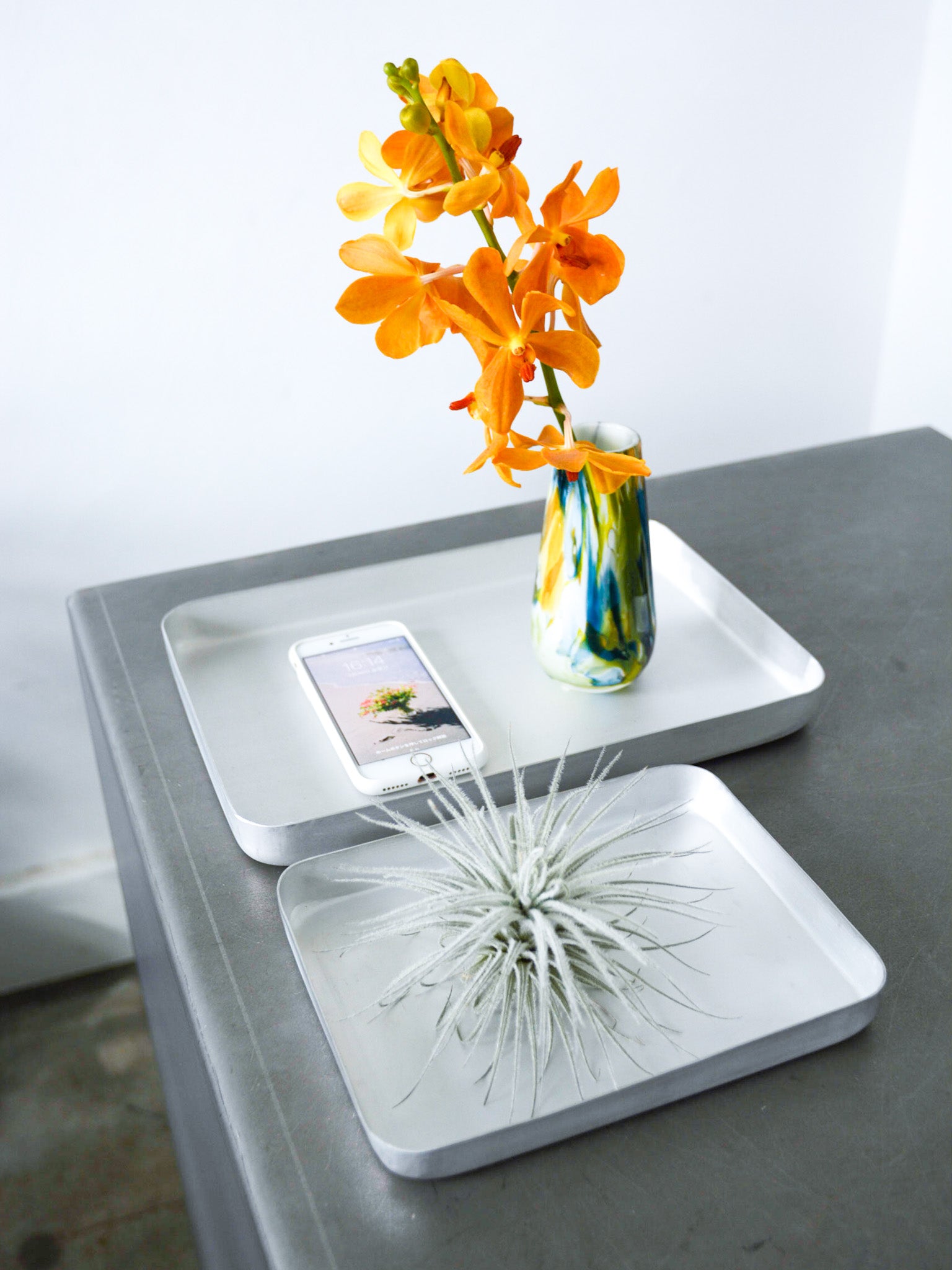 DSC_2469ec_1536x.jpg?v=1692251472