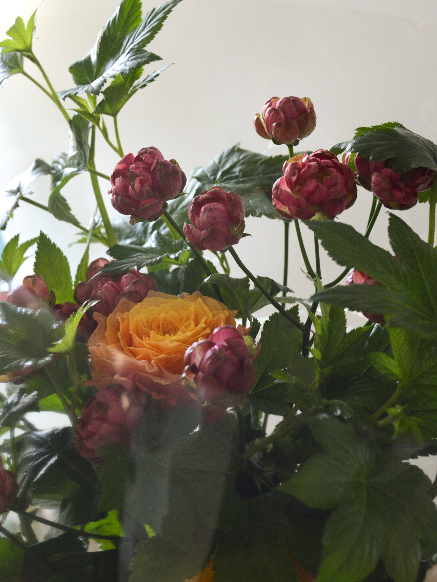 バラとラズベリーのブーケ🌹Mother's Day2025 | 橘 Online Shop